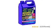 Moss on path  |  I use gyphosate spray to kill growing between the bricks of my block  path but...
