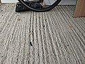 To self-level or not garage concrete floor with "grooves/waves" to convert to home office