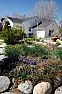 front-yard gardens?  |  Restrictions on what can be planted in a front garden will vary frommunicipality...