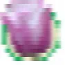 Hyacinth from Seed? |  I always figure seeds are meant to be planted when they are matureenough to...