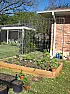 propping up plants | next thread &raquo;