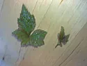 weed identification help  |  I cannot find this plant on any weed ID websites. It grew into quite alarge bush...