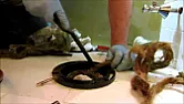 1930s cast iron downpipe fixings - what are they?  |  In message ,snipped-for-privacy@nomail.com writes Plug the shoe and fill the...