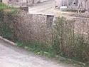 Can someone suggest what to do about this hedge...is it dead? | next thread &raquo;