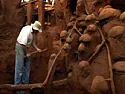 Termites & hardwood floor  |  "Guv Bob"  wrote in message news:meCdnRvVssu2aZjPnZ2dnUVZ   ...