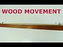 Interesting video on wood movement.  |  This guy Jack Houweling puts it in perspective....