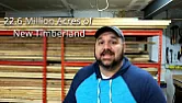 Current lumber prices explained  | &laquo; previous thread