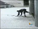 Thief Injured Attempting To Steal Copper Wire From Miami School | next thread &raquo;