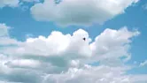 The Vulcan bomber - free flypasts  | &laquo; previous thread