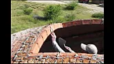 You think you can lay bricks?  | Have a look at this : http://www.youtube.com/watch?v=PB8TWMKHHMQ mark  