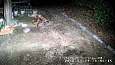 PIR lights and CCTV?  | &laquo; previous thread