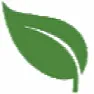 Oak seedlings  |  The most common weed in my garden is ash seedlings.  The tree is in myback yard;...