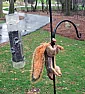 Deterring squirrels.  |  Ouch! This works well for us....