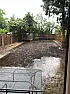 Preperation of new lawn  |  My previous lawn was in bad shape with too many weeds and poor drainage.Decided...