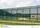dog tunneling under chain link fence |  Thanks very much to those who gave useful, constructive advice, it was much...
