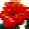 How Big of Image for Plant ID? |  I realize this doesn't directly address your question, but if you havea...