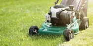 Battery Operated Yard Tools California style  |  You forgot your basic chemistry.  The energy in an organic molecule  comes the...