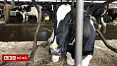 Artificial lightning zaps farm stink |  Artificial lightning zaps farm stink By Roger Harrabin, 10/8/21, BBC News  Tests...