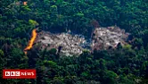 Biodiversity loss risks 'ecological meltdown' - scientists  |  Biodiversity loss risks 'ecological meltdown' - scientists By Helen...