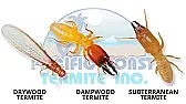 Termite treatments  |  I contracted Terminex for peace of mind.  Neighbors on both sides had to  treat....