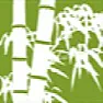 Bamboo Plantings - Anyone have them? | &laquo; previous thread