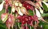 Help Identify please  |  I am in the UK. Does anyone recognise this please?++|Filename:...