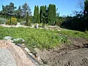 two pics from a few days ago  |    working on the north garden getting the weeds out and regenerating the...