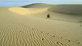 Is it raining dust?  |  Just a thin covering here in the Welsh borders. T'was Saharan sand, due  to...